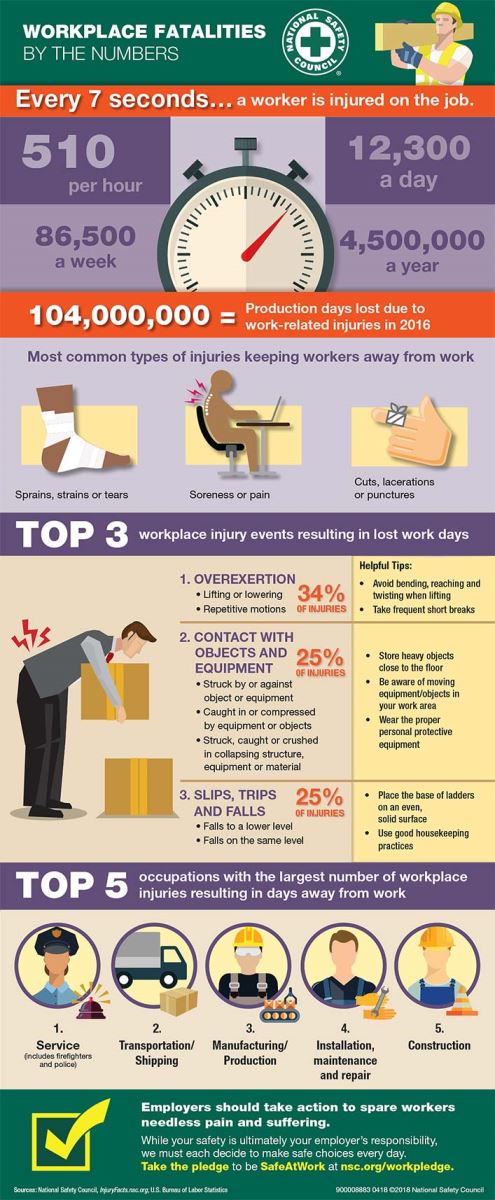 Workplace Infographic 